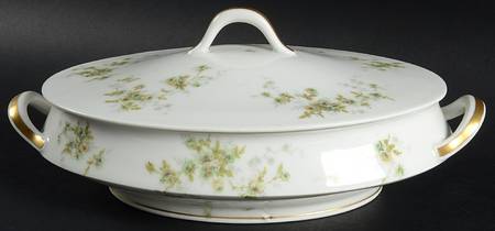 Schleiger 150W Oval Covered Vegetable