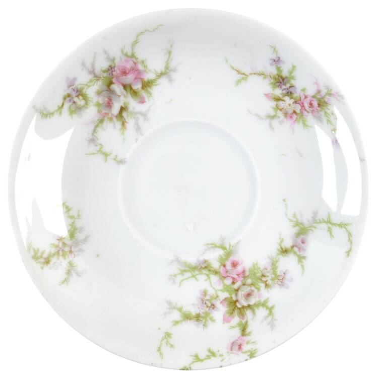 Schleiger 154a (White Background) Saucer