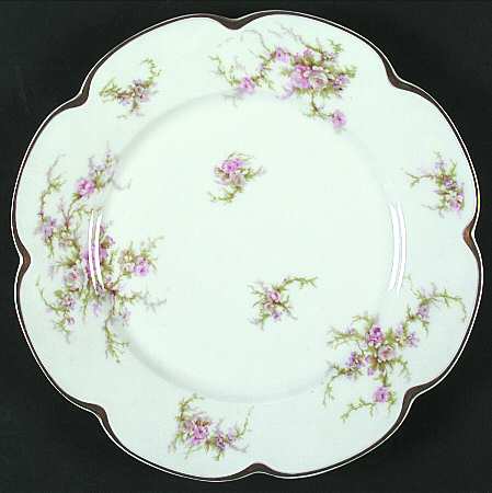 Schleiger 154B by Haviland