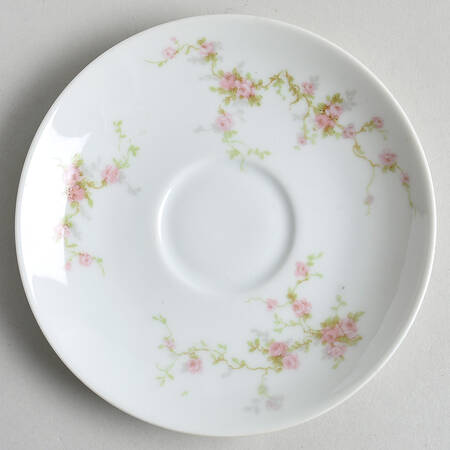 Schleiger 161B Saucer