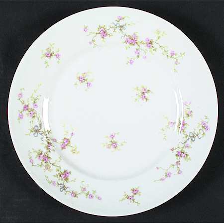 Schleiger 161B by Haviland