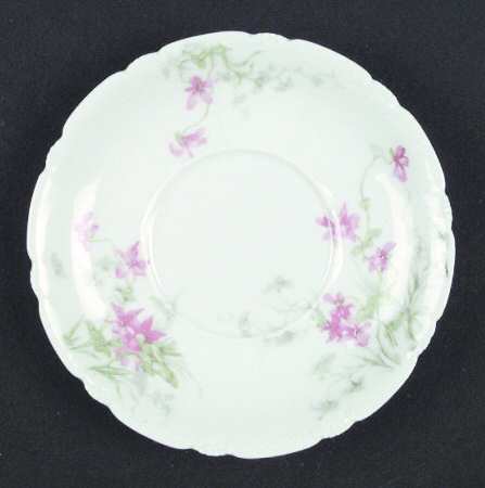 Schleiger 163b Saucer