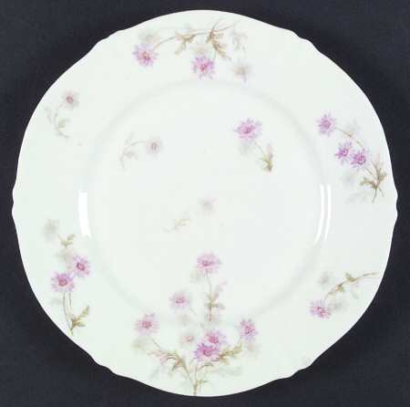 Schleiger 164b by Haviland