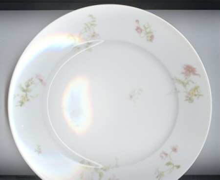 Schleiger 221h by Haviland