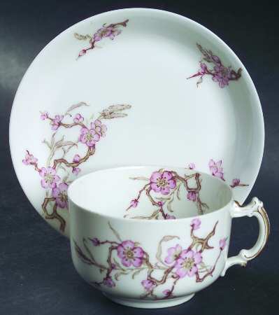 Schleiger 222C by Haviland