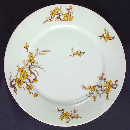 Schleiger 222D by Haviland
