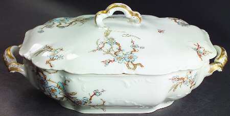 Schleiger 222F Rectangular Covered Vegetable
