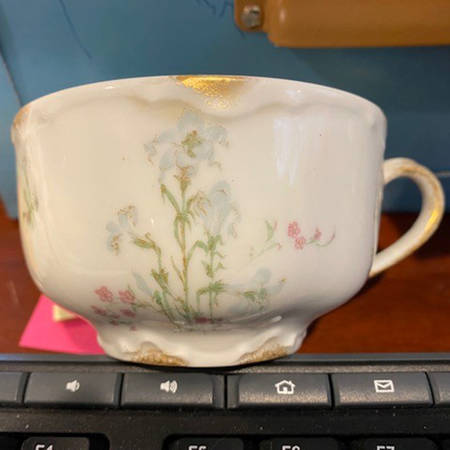 Schleiger 229b Flat Cup