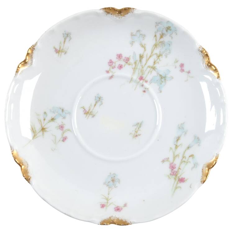 Schleiger 229b Saucer
