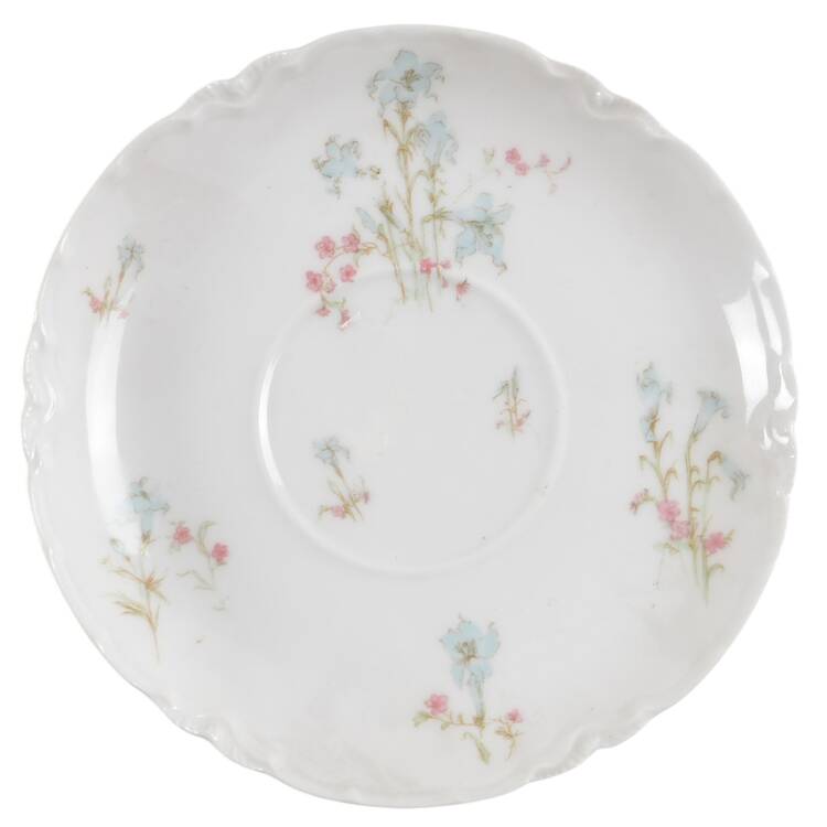 Schleiger 229c Saucer
