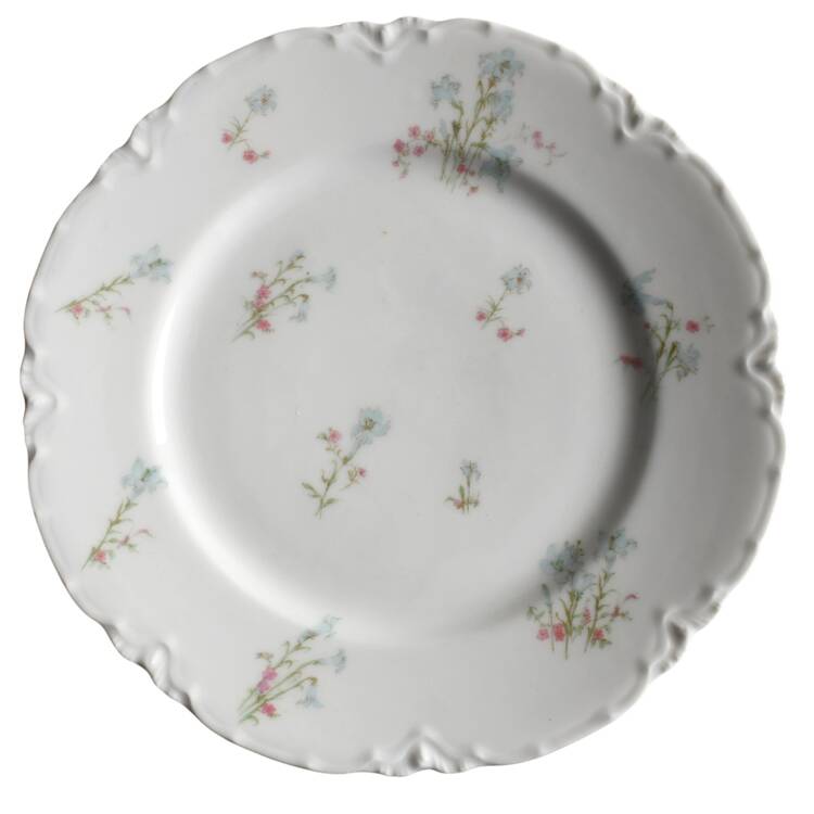 Schleiger 229c by Haviland