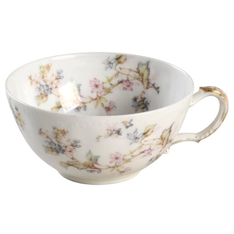 Schleiger 232 Flat Cup