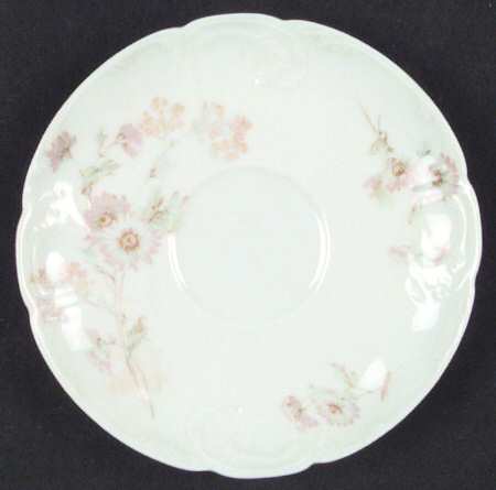 Schleiger 237B by Haviland