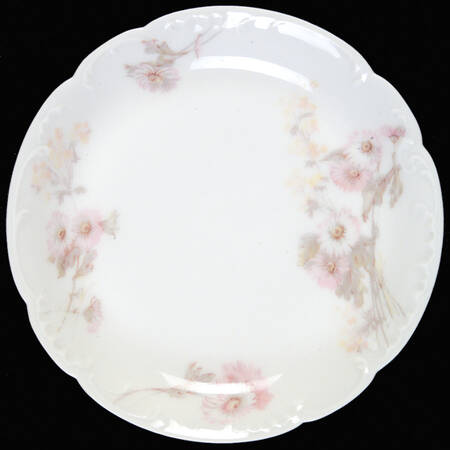 Schleiger 237C Saucer