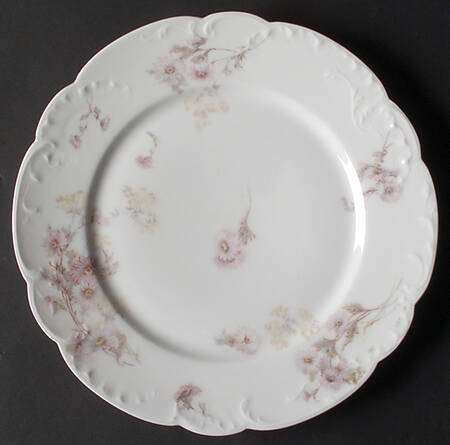 Schleiger 237C by Haviland