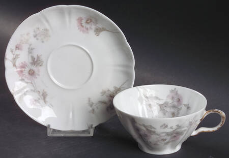 Schleiger 237D by Haviland