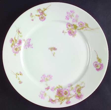 Schleiger 237J by Haviland