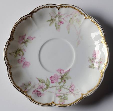 Schleiger 241 Saucer