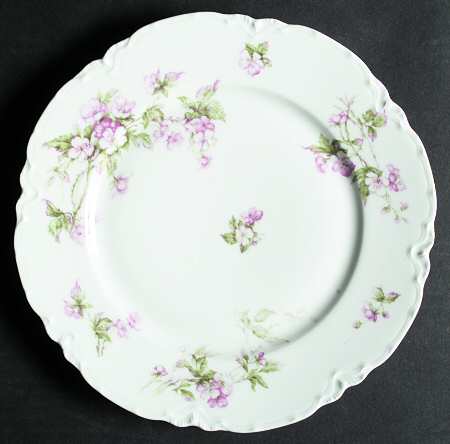 Schleiger 241B by Haviland