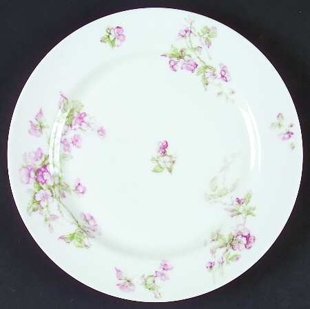 Schleiger 241C Dinner Plate