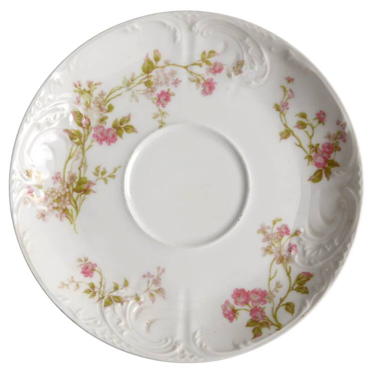 Schleiger 242 Saucer