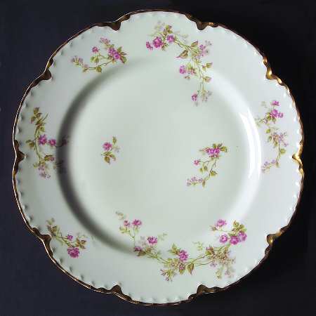 Schleiger 242b by Haviland
