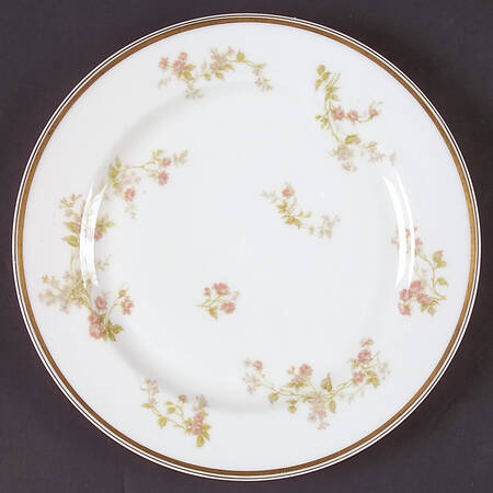 Schleiger 242d by Haviland