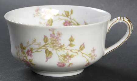 Schleiger 242F Flat Cup