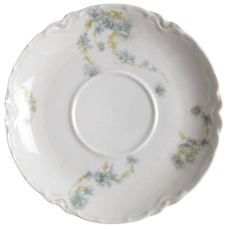 Schleiger 247b Saucer