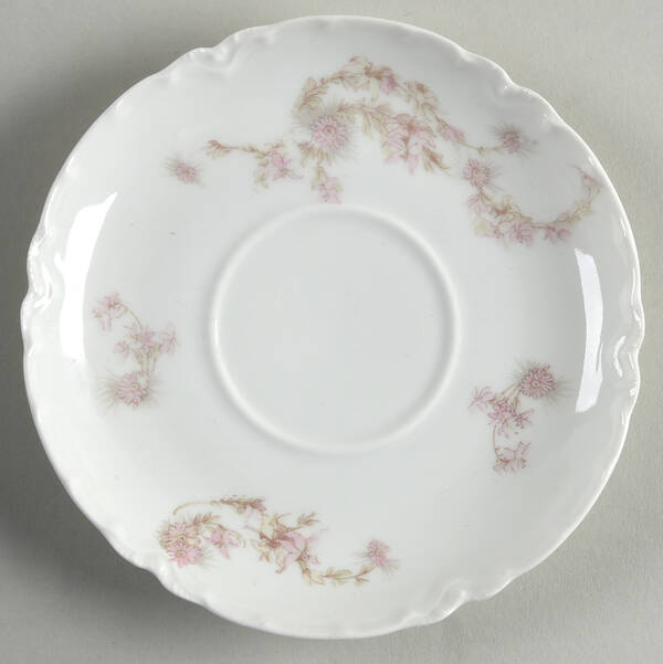 Schleiger 247g by Haviland