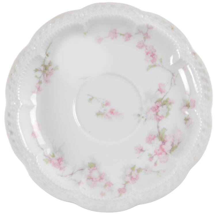 Schleiger 248 Saucer