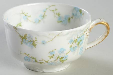 Schleiger 248B Flat Cup