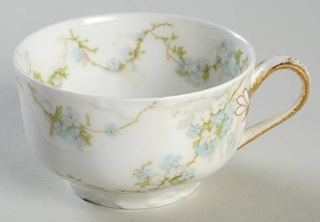 Schleiger 248B Flat Cup