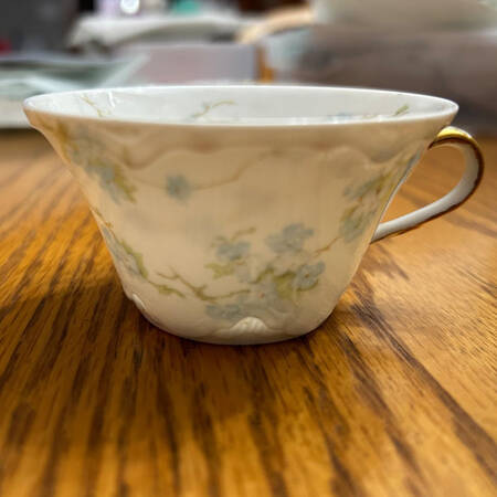 Schleiger 248B Flat Cup