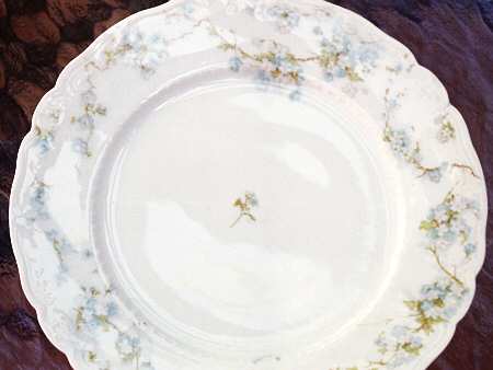 Schleiger 248d Dinner Plate