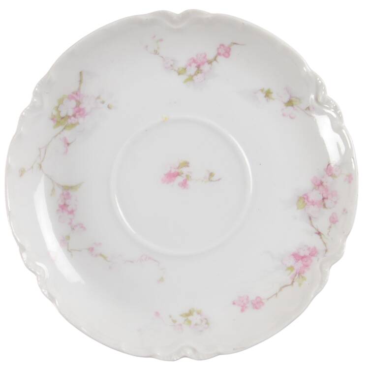 Schleiger 248F Saucer