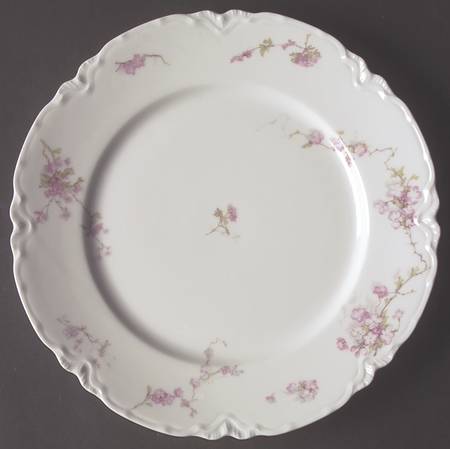 Schleiger 248F by Haviland