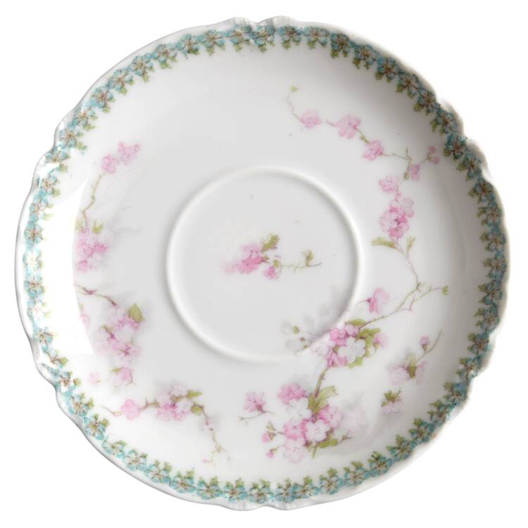 Schleiger 248G Saucer