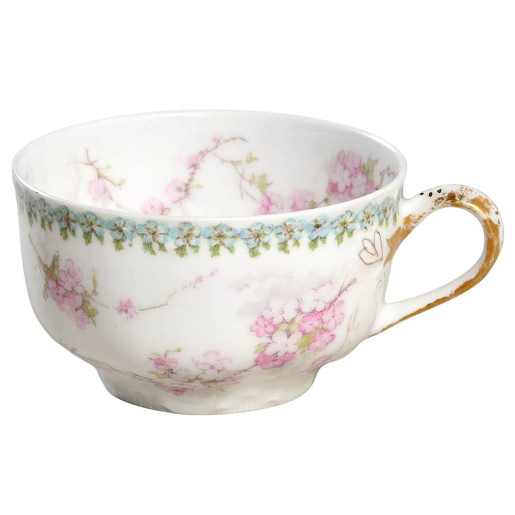 Schleiger 248G Flat Cup