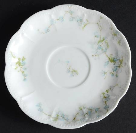 Schleiger 248n Saucer