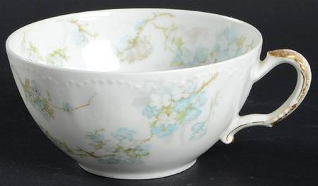 Schleiger 248n Flat Cup