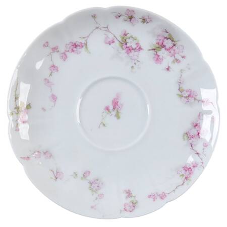 Schleiger 248s Saucer