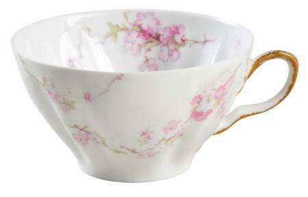 Schleiger 248s Flat Cup