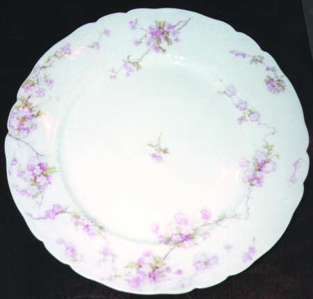 Schleiger 248s Dinner Plate