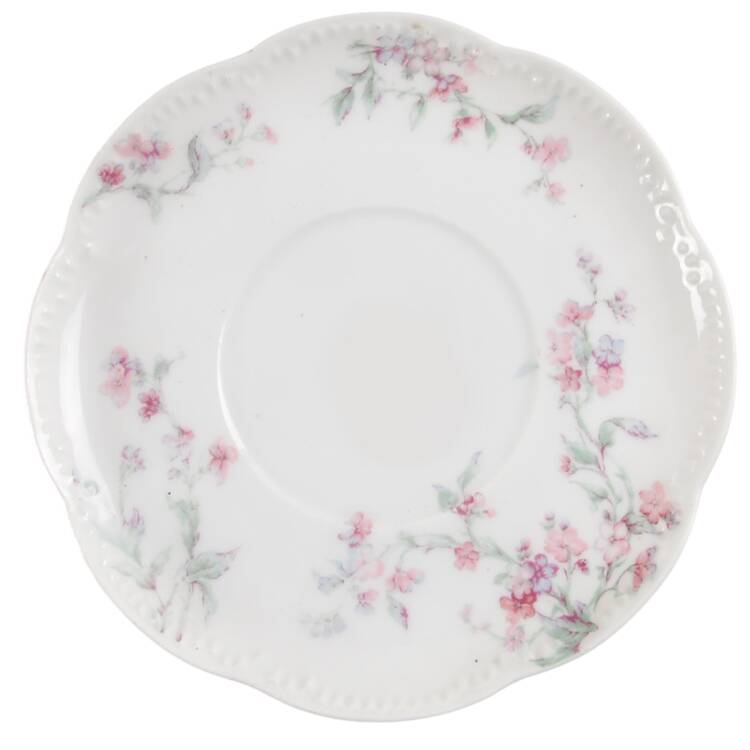 Schleiger 249 Saucer