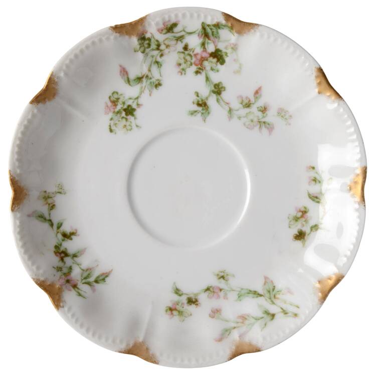 Schleiger 249D Saucer