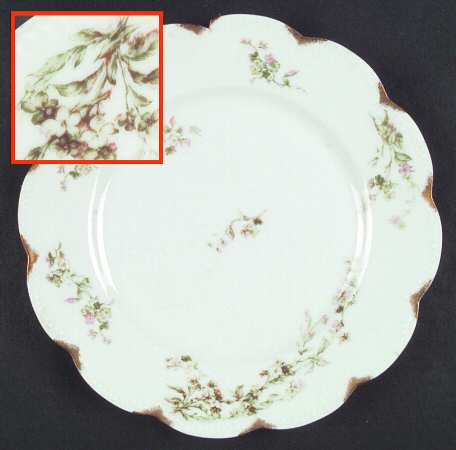Schleiger 249D by Haviland