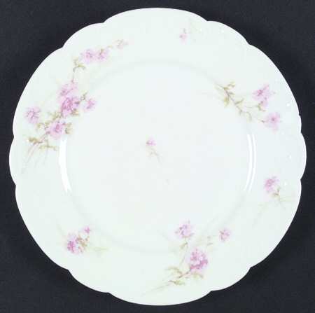 Schleiger 254 by Haviland