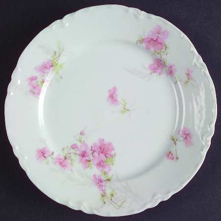 Schleiger 254b by Haviland