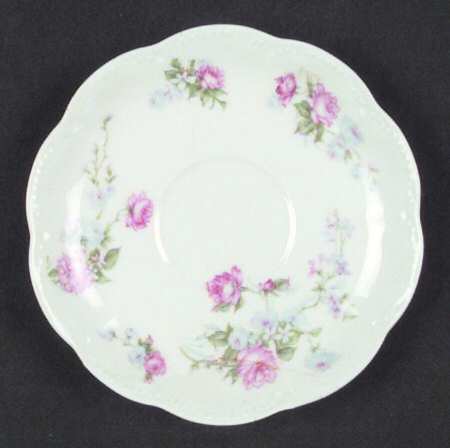 Schleiger 261C Saucer